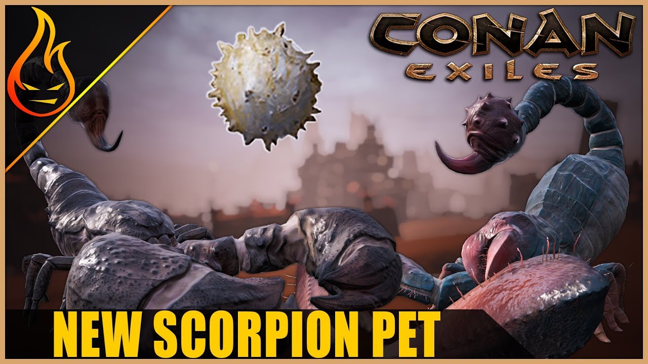 Conan Exiles New Scorpion Pet - PTR Content - YouTube