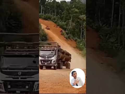 Motorista aí se garante, tem que ser doidão #shorts