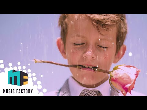 Banquet Hall | Film | Strange & Weird | Music Factory