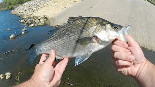 This Spillway is Loaded With Fish!