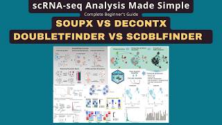 scRNA-seq QC Tools Compared: SoupX vs DecontX & DoubletFinder vs scDblFinder