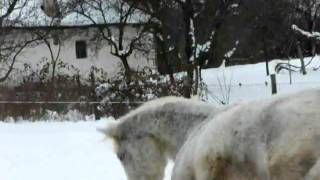 DSCF2048.AVI
