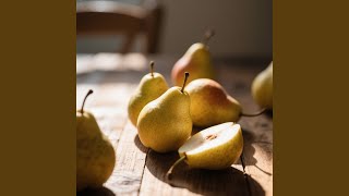 Magis Mengembara Penjaga