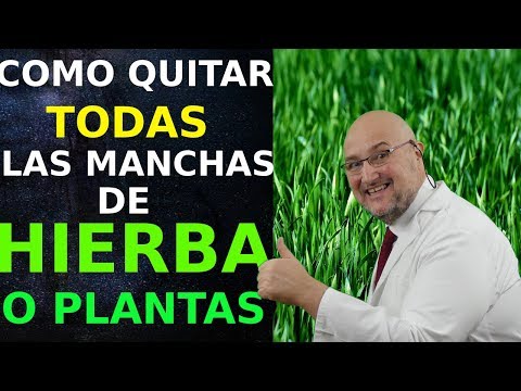 Como quitar las manchas de hierba y plantas de la ropa