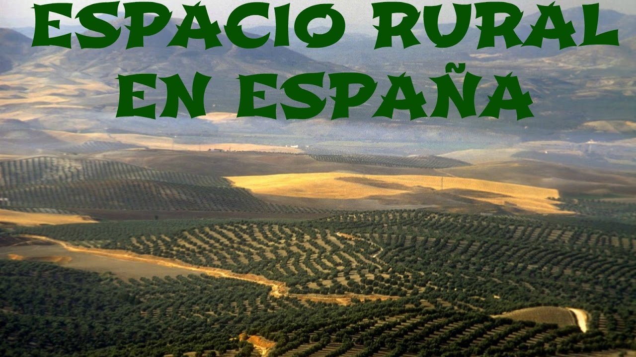 Espacio rural y actividad agraria en España - Geografía de España