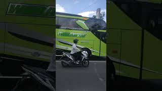 Sesuai namanya, bus ini selalu wara wiri di jalan raya #shorts #bus #automobile
