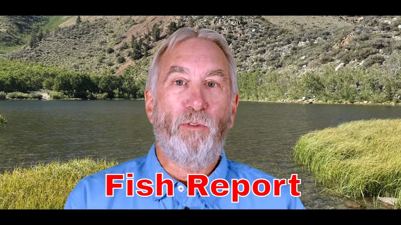 Sierra Bright Dot's Fred Rowe Presents Owens Valley Fly Fishing Report for September 11-17, 2025