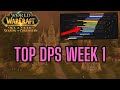 Top DPS Week 1 Scarlet Enclave | Season of Discovery Phase 8