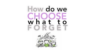 How do we choose what to forget An introduction to the 90 Cubed Rule.
