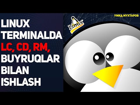 Video: Linuxda faylning oxirgi 10 qatorini qanday ko'rish mumkin?