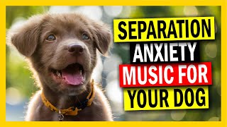 Help your Dog with Separation Anxiety I Calming Music for your Dog 432 Hz.  Try this now! by Nature Walk 63 views 2 years ago 2 hours, 1 minute
