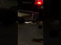 Chevy 6.0 factory muffler vs Amazon muffler