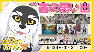 犬民ルキの今夜もおしゃべりワンワン 2025/05/29 春の思い出 編