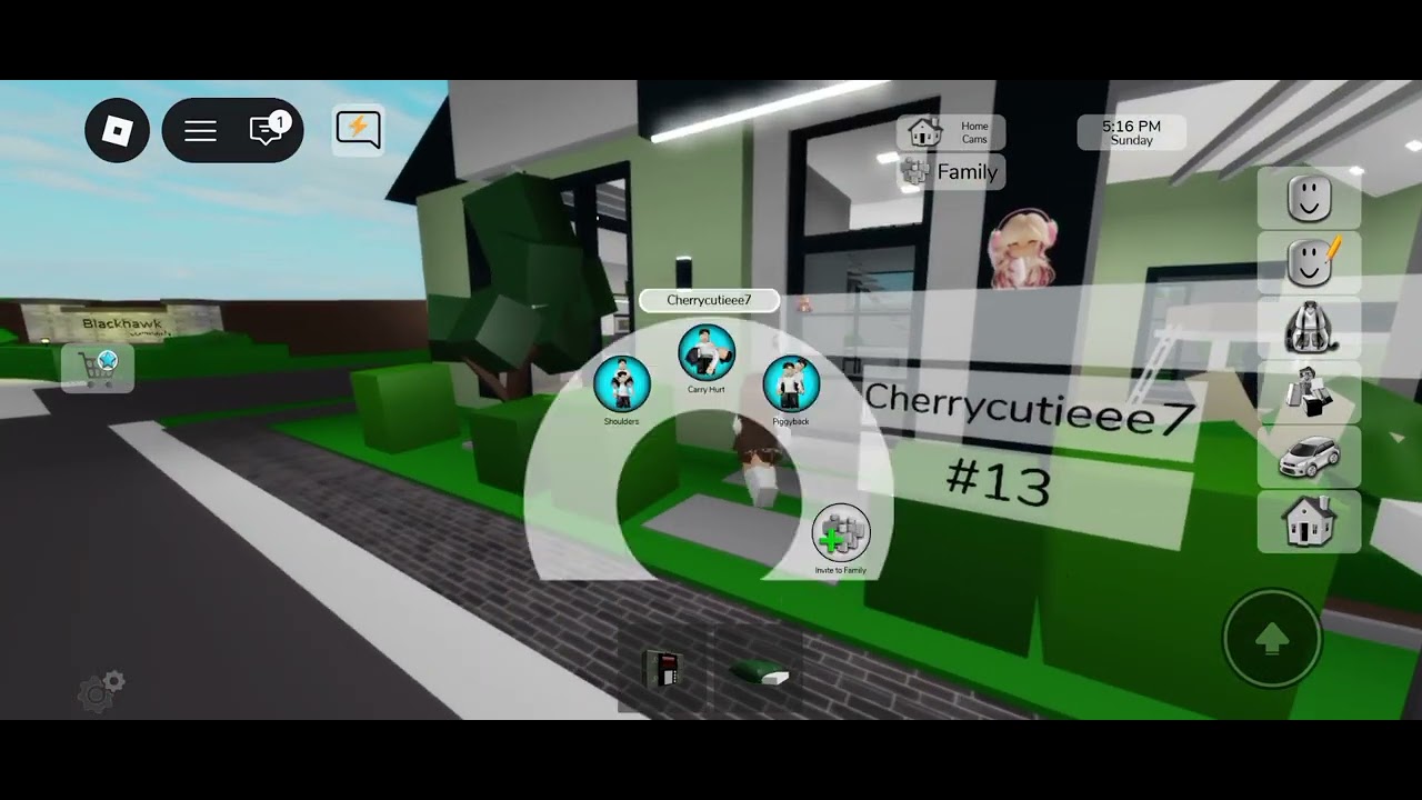 Brookhaven invis troll?