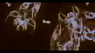 Sup [1st]