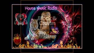 Block & Crown - Wild Disco Style (CDS - Mix) 🔊🔥💥 house music radio