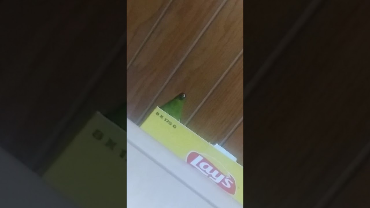 Wecke Mich Morgen Um 7 Uhr