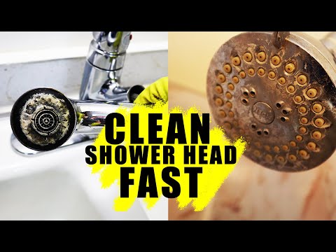 The Ins and Outs of Cleaning a Shower Head with Vinegar - Tru Earth