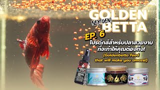 Goldenbetta Nextgen! EP.6 โปรดักส์สำหรับปลาสวยงามที่จะทำให้คุณต้องทึ่ง! Eng [Subtitle]