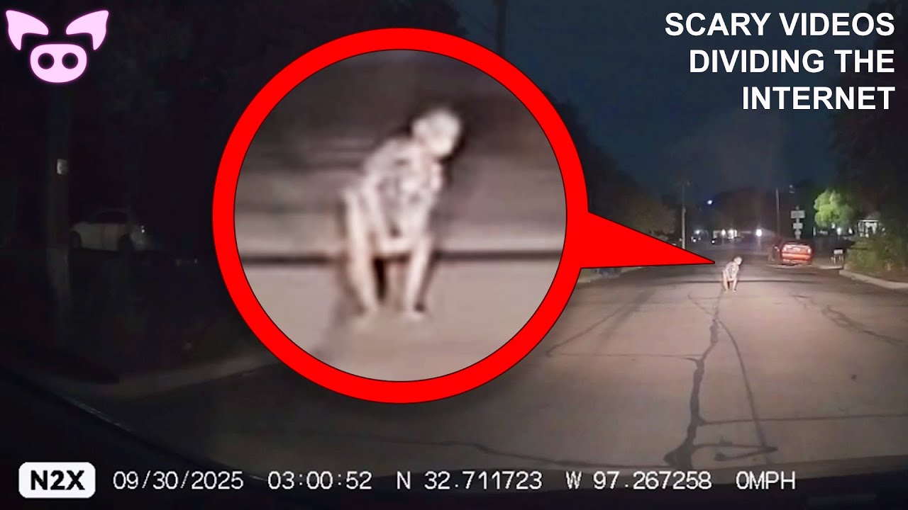 Scary Videos Dividing the Right Now YouTube