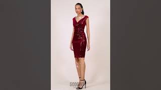 Celebrity The hottest trend this season is sequins and velvet Net Worth