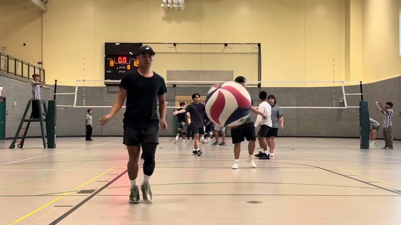 HORNY HORNETS vs Nailong-Set 1