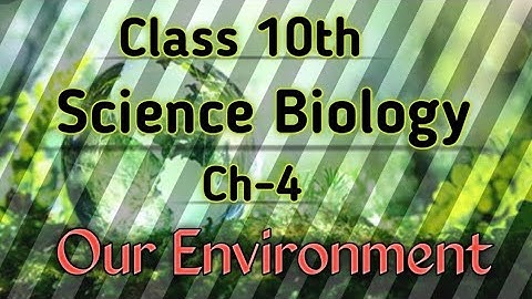 Class 10/Science Biology🧫/Ch-4/Our Environment/Notes