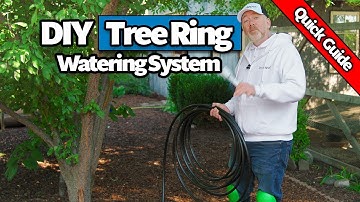 Hoe u een druppelirrigatiesysteem voor bomen installeert (Snelle beginnershandleiding)
