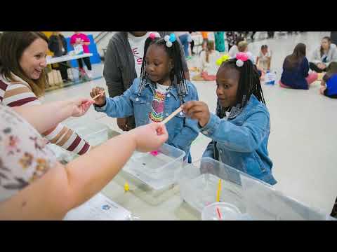 Lakeview Primary's Year of Steam