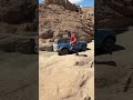 Is 2025 Bronco Sport just a grocery getter? 🤔 Nope