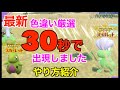 【ポケモンSV】色違いタツベイ/色違いヨーギラス放置するだけでゲットできる場所を発見！ 誰でも簡単に捕まえられます！【色違いポケモン】