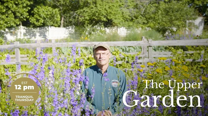 TOUR the Upper Garden with Dean Norton!