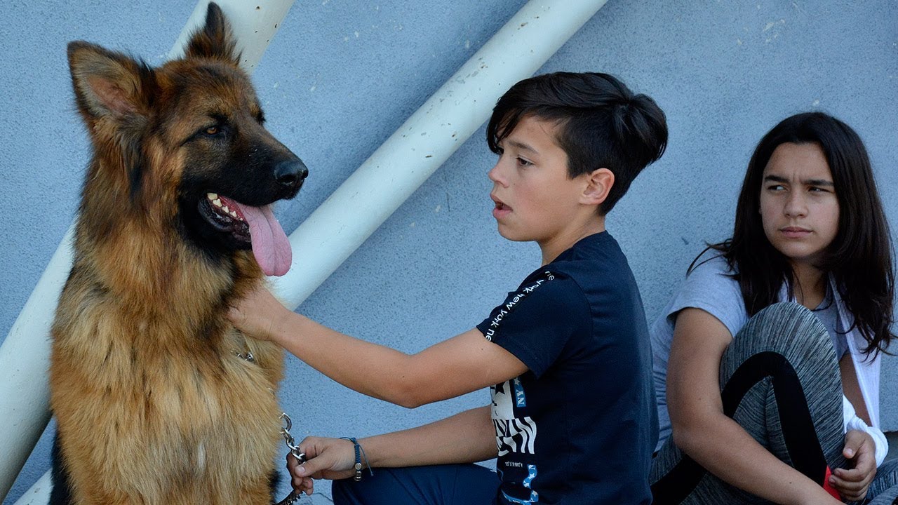 Međunarodna izložba pasa u Vitezu 20.05.2018