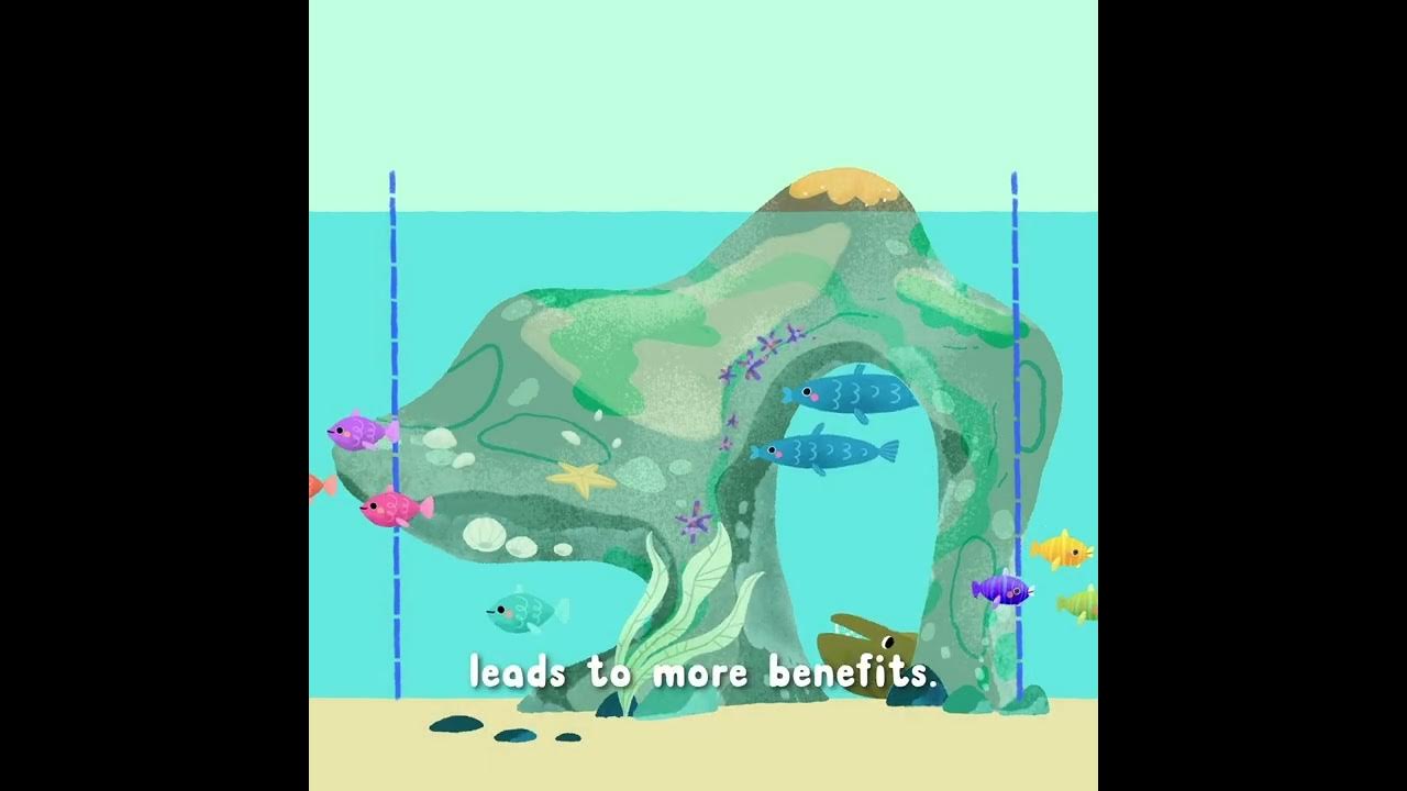 what-are-mpas-or-marine-protected-areas-youtube