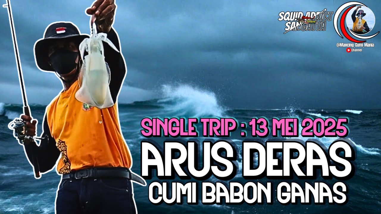 GANASNYA SANG CUMI BABON SAAT ARUS LAUT DERAS !!