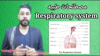 افضل كورس مصطلحات طبيه 2الجهاز التنفسRespiaratory system تعلم الانكليزي مع حسيناستاذ حسين حافظ