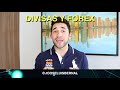 Inversiones en Divisas y Forex 1