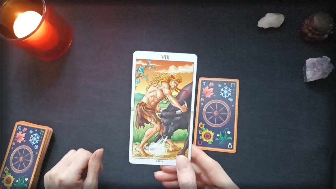 денежный расклад на таро. таро на ближайший месяц. расклад на месяц таро. расклады таро. расклады таро.