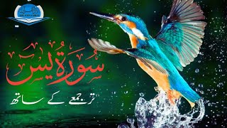Surah Yasin (Yaseen) | Beautiful Yasin Tilawat With English Translation By Molana Ammar | Full (HD)