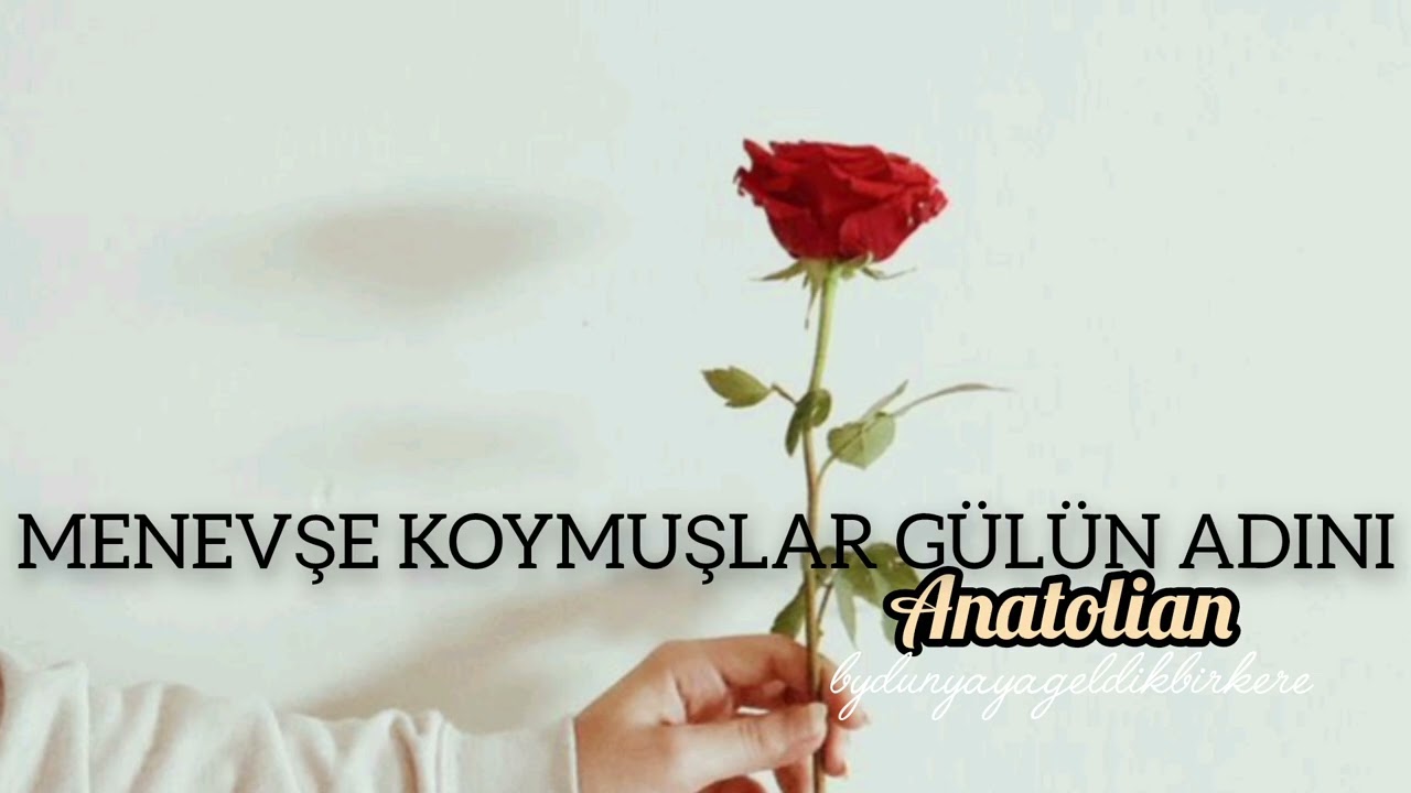 Menevşe Koymuşlar Gülün Adını (70's Psychedelic Anatolian Rock)