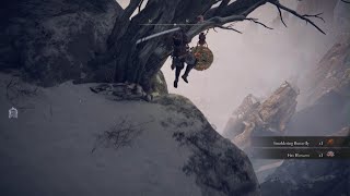 ELDEN RING accidental deathcam glitch