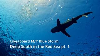 Liveaboard in the Red Sea: Diving Egypt's Deep South Part 1