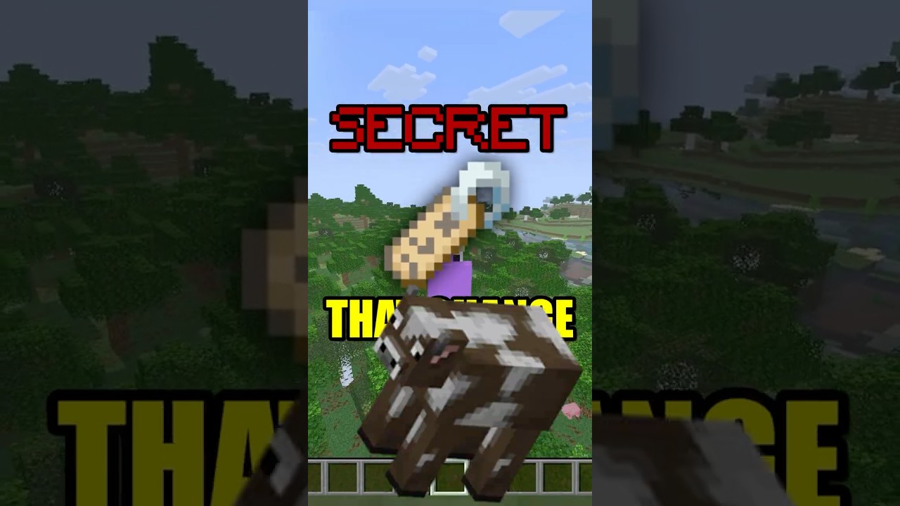 All SECRET Name Tags in Minecraft!
