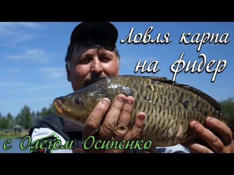 Ловля карпа на фидер с Олегом Осипенко видео : ОДР #2 