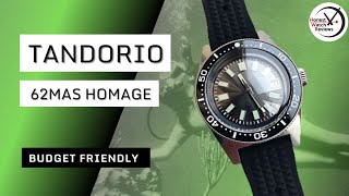 This Budget Dive Watch Surprised Me | Tandorio 62MAS Homage
