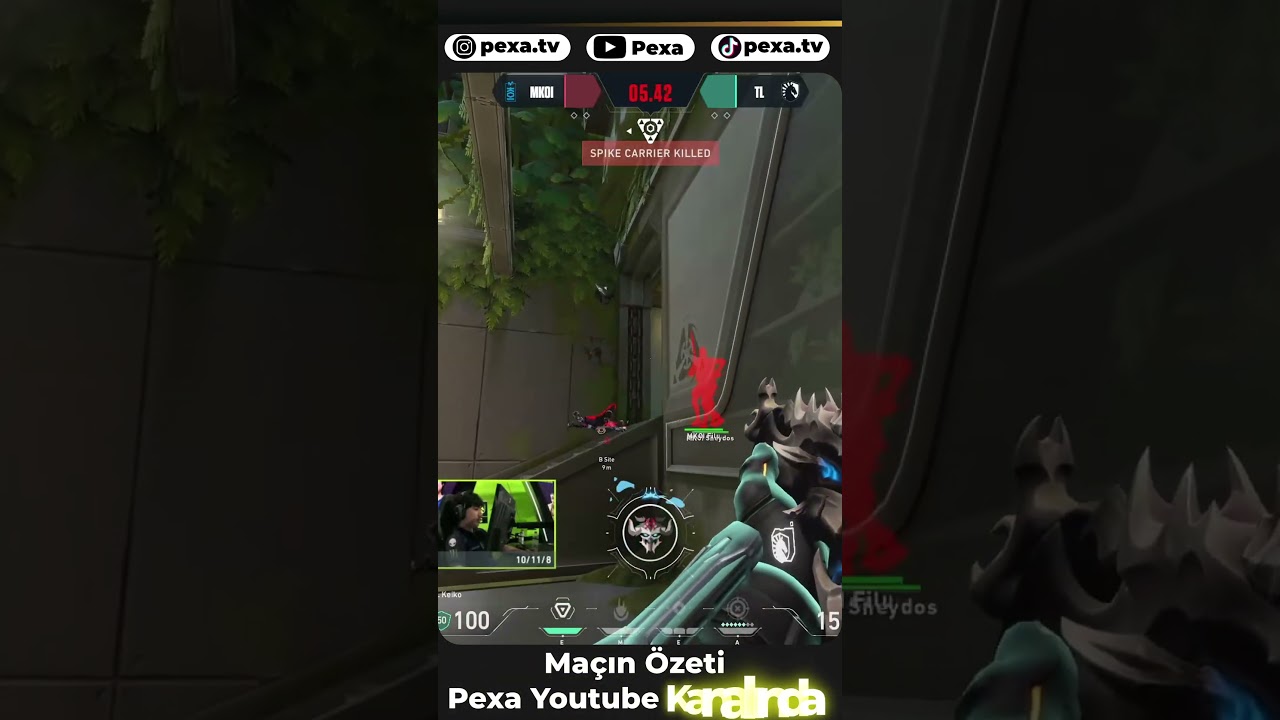 keiko BRIMSTONE RAKİBİNE GEÇİT VERMİYOR | TL vs KOI 