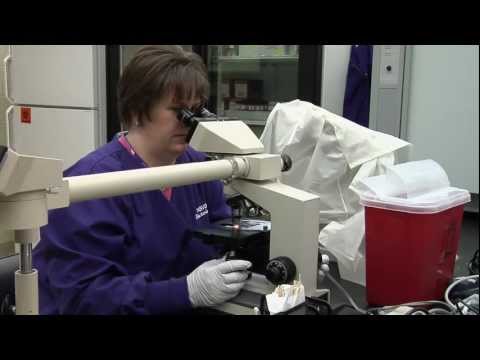 A Focus on Service: The Kansas State Veterinary Diagnostic Lab