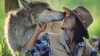 Волки и люди - Wolves and humans Волки и люди - Wolves and humans