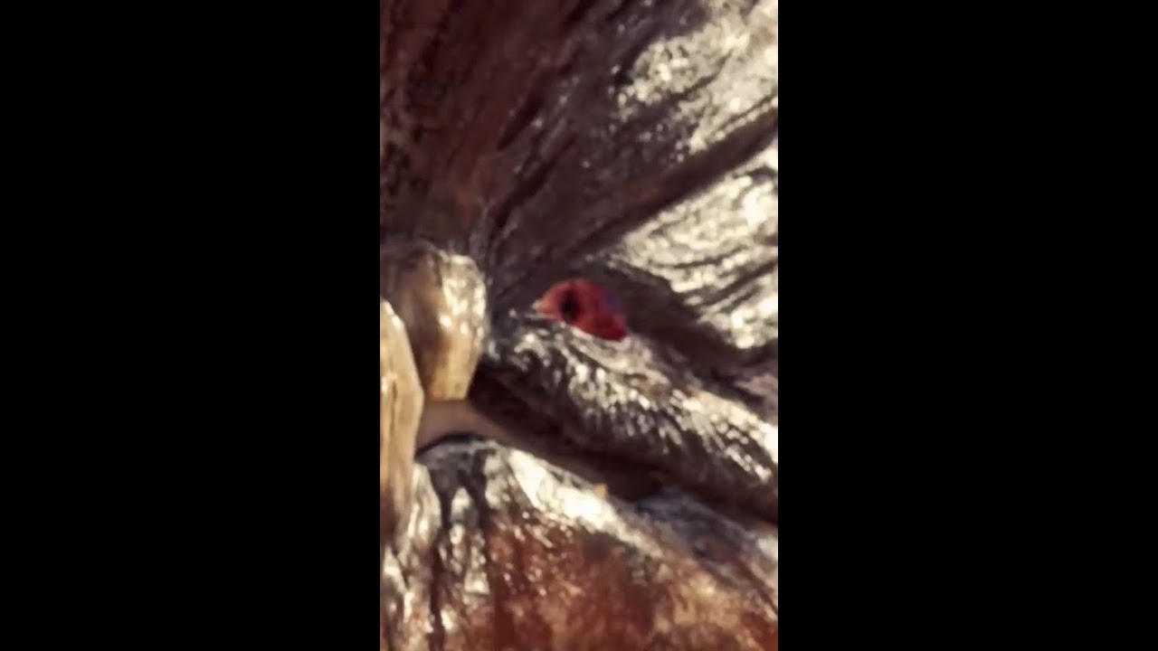 Monster Hunter World