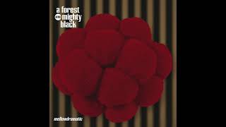 A Forest Mighty Black - Duo Trippin&#39;
